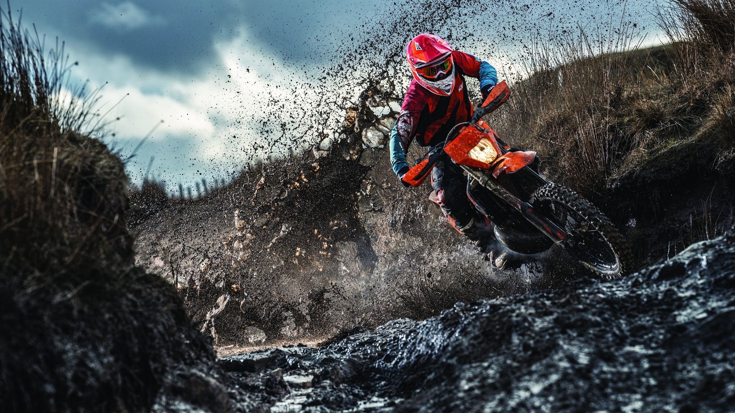 Team Liquid战队纪录片上线，teamdynamics战队